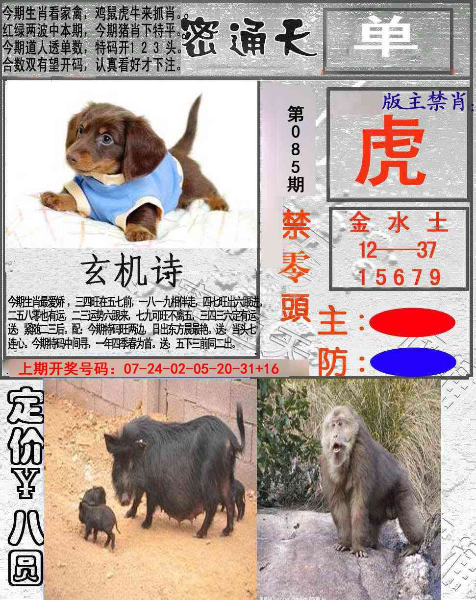 085期密通天[图]