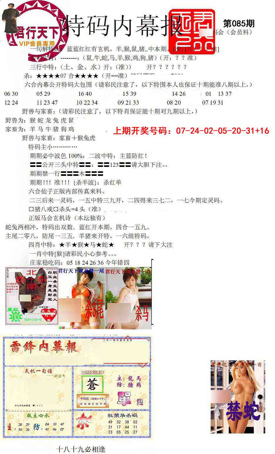 085期特码内幕报[图]